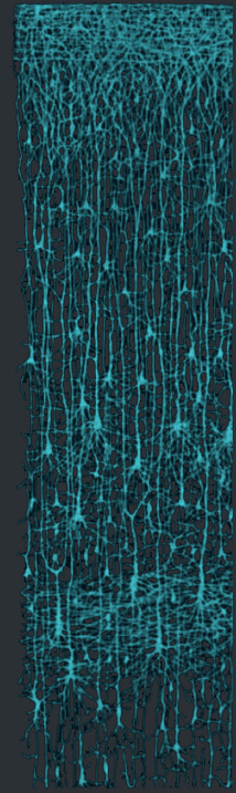 Нейроны в мозге похожи на транзисторы в интегральной схеме